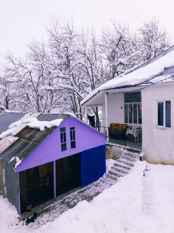 Privatunterkunft Shorena's Tsvirmi